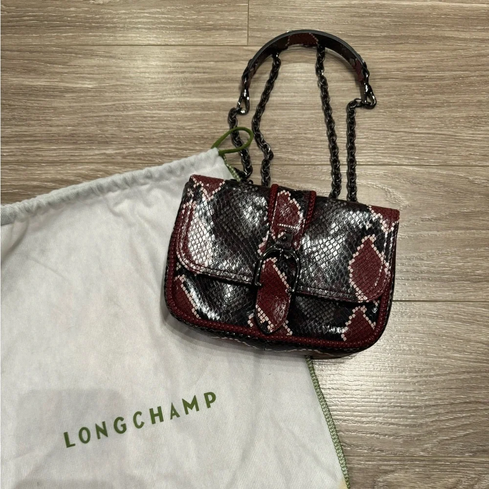 Longchamp Bag - Picture 1 of 10